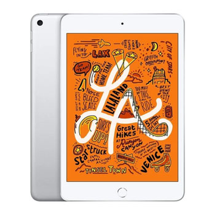 iPad Mini 5 (2019)